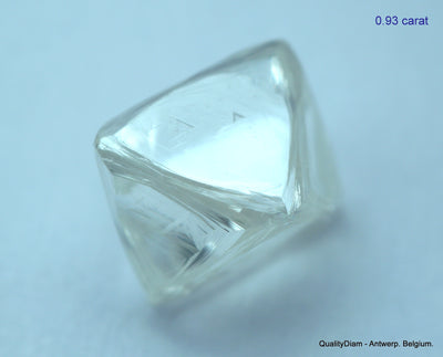 1.87 carats G VVS1 pair of natural uncut diamonds rough, out from diamond mine