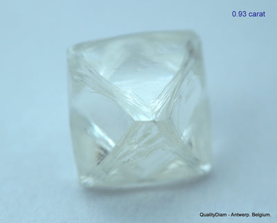 1.87 carats G VVS1 pair of natural uncut diamonds rough, out from diamond mine