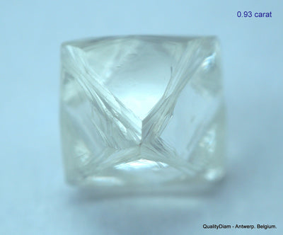 1.87 carats G VVS1 pair of natural uncut diamonds rough, out from diamond mine