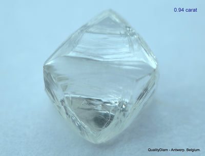 1.87 carats G VVS1 pair of natural uncut diamonds rough, out from diamond mine