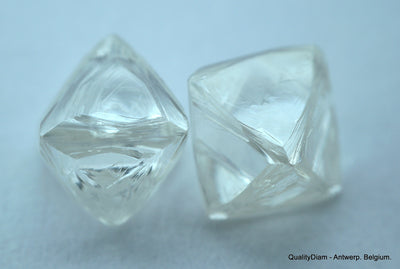 1.87 carats G VVS1 pair of natural uncut diamonds rough, out from diamond mine