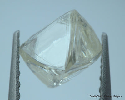 1.91 carat pair of natural uncut diamonds rough, out from diamond mine