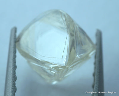 1.91 carat pair of natural uncut diamonds rough, out from diamond mine
