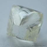 Buy now & enjoy lifetime as a diamond is forever. 1.46 carat I VVS1 gem diamond