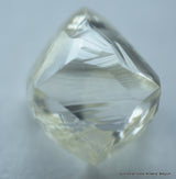 Buy now & enjoy lifetime as a diamond is forever. 1.46 carat I VVS1 gem diamond