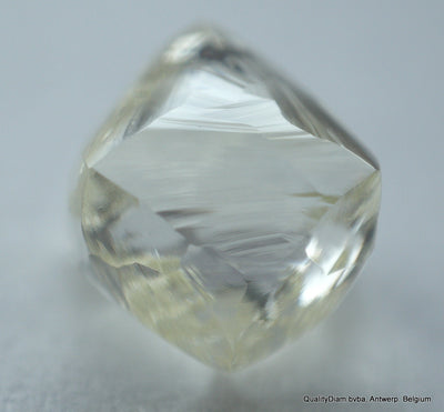 Buy now & enjoy lifetime as a diamond is forever. 1.46 carat I VVS1 gem diamond