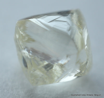 Buy now & enjoy lifetime as a diamond is forever. 1.46 carat I VVS1 gem diamond
