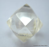 2.03 Carat I VVS2 Natural Diamond out from Diamond Mine, Rough Uncut Diamond