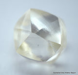 2.03 Carat I VVS2 Natural Diamond out from Diamond Mine, Rough Uncut Diamond