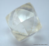2.03 Carat I VVS2 Natural Diamond out from Diamond Mine, Rough Uncut Diamond