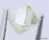 H Flawless Clean White 0.51 Carat Rough Diamond Natural, Genuine Diamond Uncut