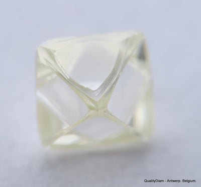 H Flawless Clean White 0.51 Carat Rough Diamond Natural, Genuine Diamond Uncut