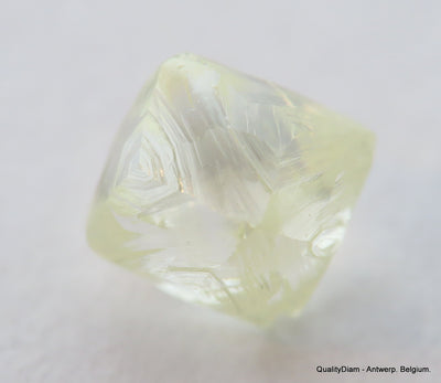 Ideal for rough diamond jewelry, natural diamond out from a diamond mine