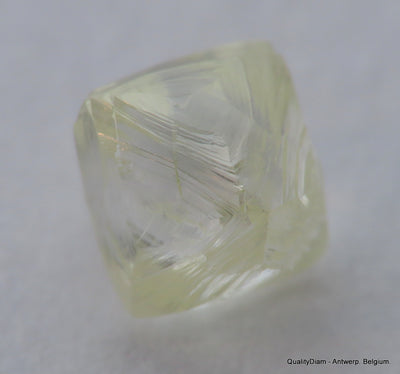 Ideal for rough diamond jewelry, natural diamond out from a diamond mine