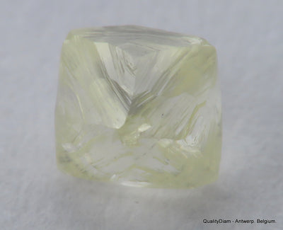 Ideal for rough diamond jewelry, natural diamond out from a diamond mine