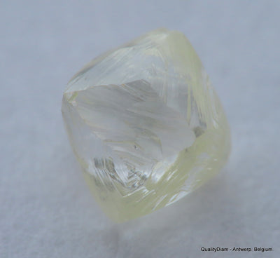 Ideal for rough diamond jewelry, natural diamond out from a diamond mine