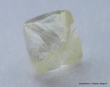 Ideal for rough diamond jewelry, natural diamond out from a diamond mine