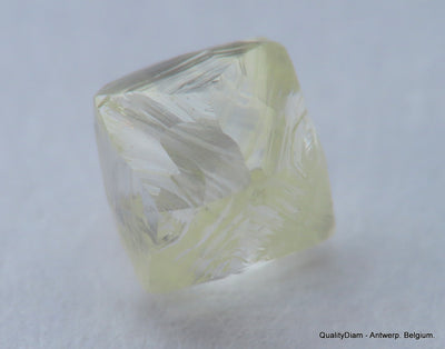 Ideal for rough diamond jewelry, natural diamond out from a diamond mine