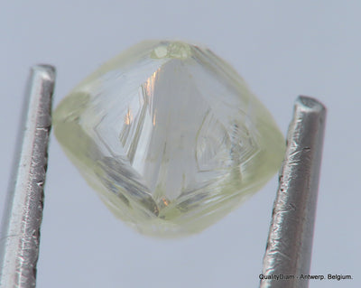 Ideal for rough diamond jewelry, natural diamond out from a diamond mine