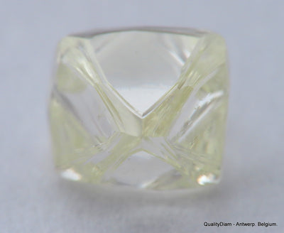 I VVS1 Real & beautiful diamond out diamond mine. Natural, uncut gemstone