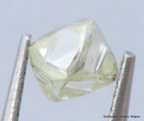 I VVS1 Real & beautiful diamond out diamond mine. Natural, uncut gemstone