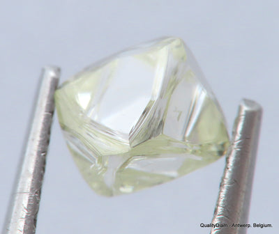 I VVS1 Real & beautiful diamond out diamond mine. Natural, uncut gemstone