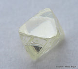 I VVS1 Real & beautiful diamond out diamond mine. Natural, uncut gemstone