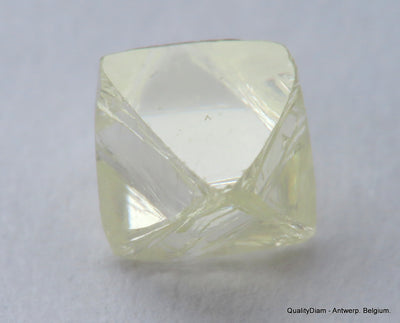 I VVS1 Real & beautiful diamond out diamond mine. Natural, uncut gemstone