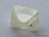 I VVS1 Real & beautiful diamond out diamond mine. Natural, uncut gemstone