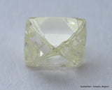 I VVS1 Real & beautiful diamond out diamond mine. Natural, uncut gemstone