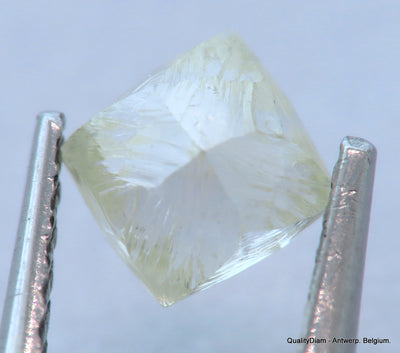 Flawless Clean White 0.62 Carat Rough Diamond Natural, Genuine Diamond Uncut