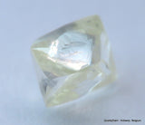 H VVS1 natural diamond ideal for uncut diamond jewelry. Out from a diamond mine