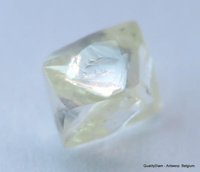 H VVS1 natural diamond ideal for uncut diamond jewelry. Out from a diamond mine