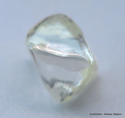 H VVS1 natural diamond ideal for uncut diamond jewelry. Out from a diamond mine