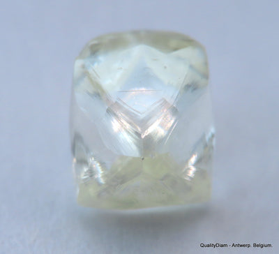 H VVS1 natural diamond ideal for uncut diamond jewelry. Out from a diamond mine