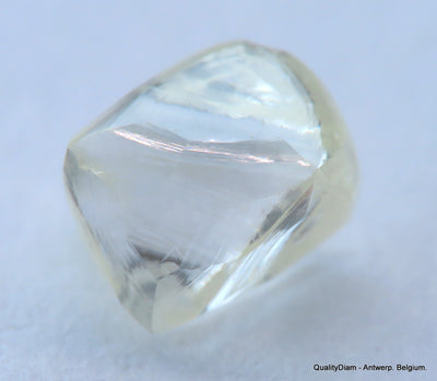 H VVS1 natural diamond ideal for uncut diamond jewelry. Out from a diamond mine