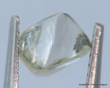 H VVS1 natural diamond ideal for uncut diamond jewelry. Out from a diamond mine
