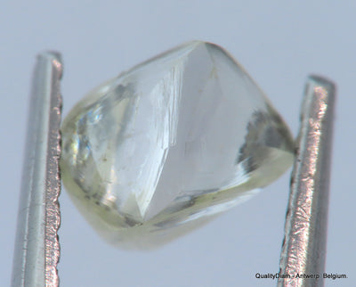 H VVS1 natural diamond ideal for uncut diamond jewelry. Out from a diamond mine