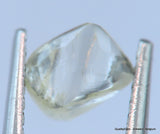 H VVS1 natural diamond ideal for uncut diamond jewelry. Out from a diamond mine