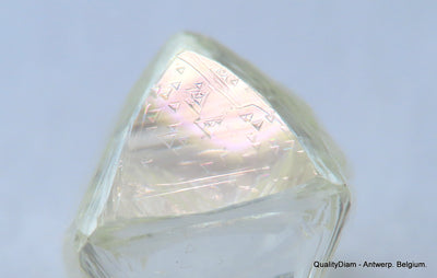 0.64 Cts. VVS1 Real & beautiful diamond out diamond mine. Natural, uncut gemstone