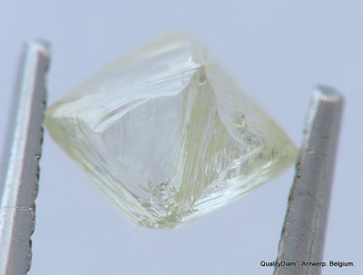 0.64 Cts. VVS1 Real & beautiful diamond out diamond mine. Natural, uncut gemstone