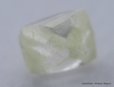 H VVS1 natural diamond ideal for uncut diamond jewelry. Out from a diamond mine