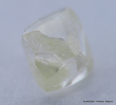 H VVS1 natural diamond ideal for uncut diamond jewelry. Out from a diamond mine