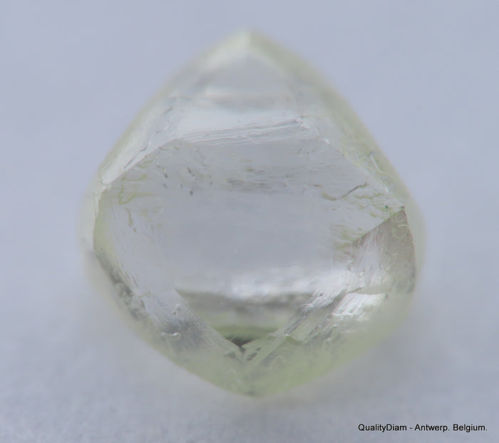 H VVS1 natural diamond ideal for uncut diamond jewelry. Out from a