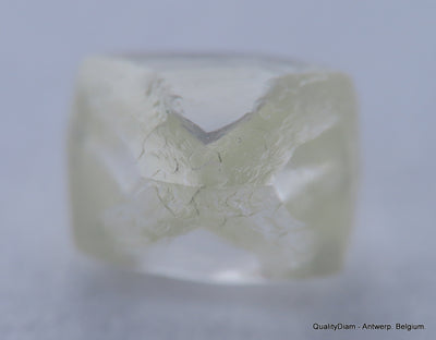 H VVS1 natural diamond ideal for uncut diamond jewelry. Out from a diamond mine