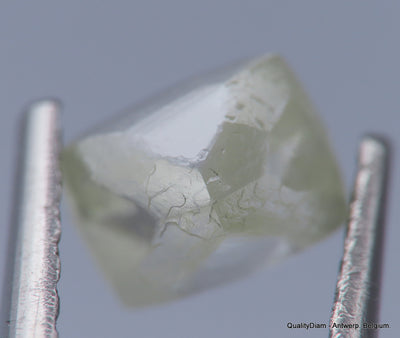 H VVS1 natural diamond ideal for uncut diamond jewelry. Out from a diamond mine