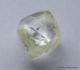 Billion years old beautiful diamond out from diamond mine 2.48 carats gem stone