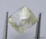 Billion years old beautiful diamond out from diamond mine 2.48 carats gem stone