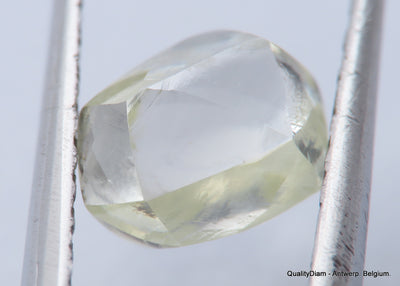 Jewelers Buy Rough Diamond Ready To Set In A Jewel. Recently Mined Uncut Diamond