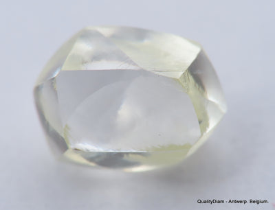 Jewelers Buy Rough Diamond Ready To Set In A Jewel. Recently Mined Uncut Diamond